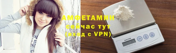 индика Верея