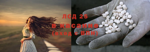 индика Верея