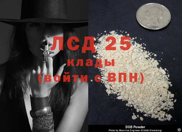 индика Верея