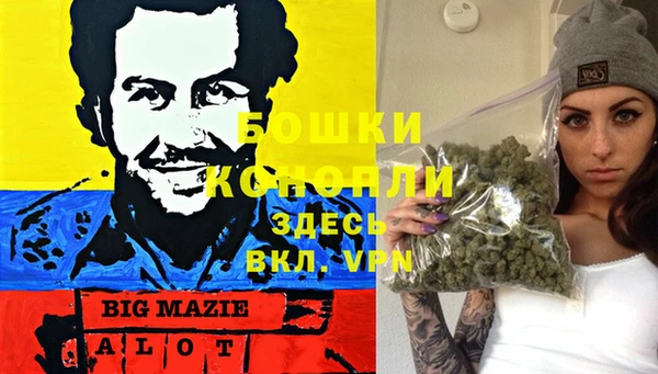 индика Верея