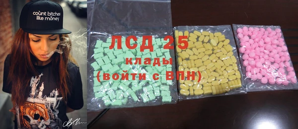 индика Верея