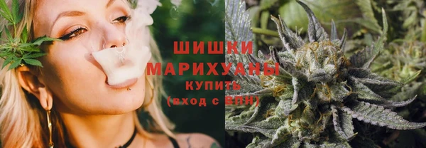 стафф Верхний Тагил