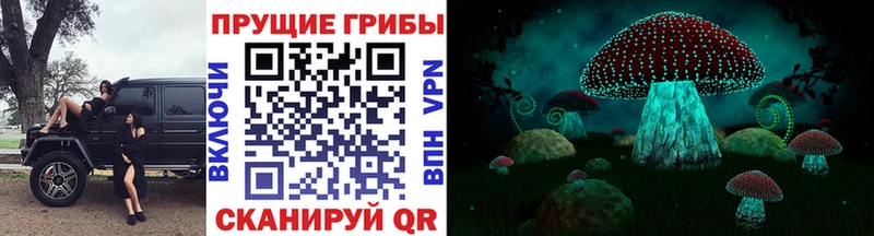 Галлюциногенные грибы ЛСД  даркнет сайт  Тихорецк 